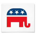 Republican Elephant photography