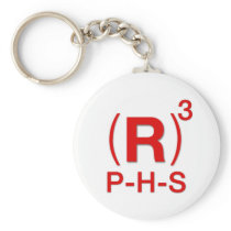 Republican President, House & Senate in 2012 Key Chains