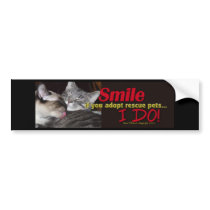 Rescue Kitty Bumper Sticker