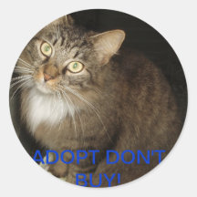 RESCUED CAT STICKER