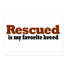 Rescued Is My Favourite Breed Postcard