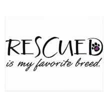Rescued Is My Favourite Breed Postcards