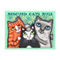 Rescued / Shelter Cat's Postcard