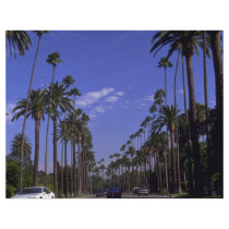 Residential Rodeo Drive, Beverly Hills, California Flyer