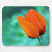 Resplendent Mousemat
