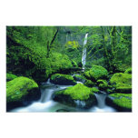 Ressortissant 3 des Etats-Unis, Orégon, gorge du f Photographes