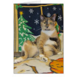 Rest, Relax, and Enjoy the Season! Cards