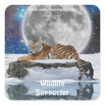 Resting Amur Tiger, Moon & Snow Wildlife Stickers