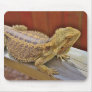 Resting Bearded Dragon 2 Mouse Pads