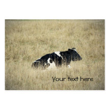Resting Cow - Business Card