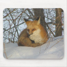 Resting Fox Mousepads