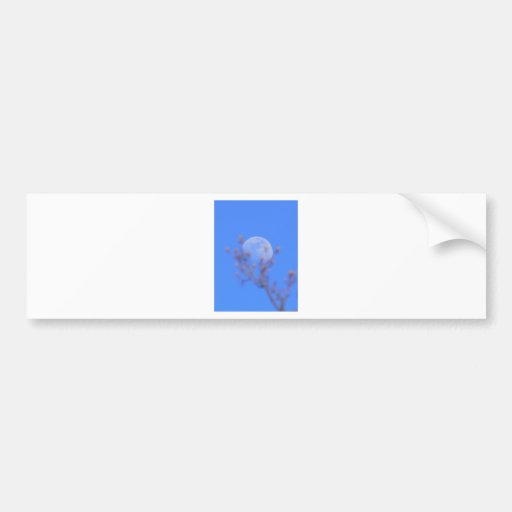 Resting Moon Tree Bumper Stickers