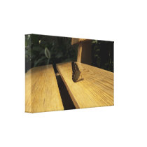 Resting on a Park Bench canvas prints