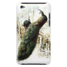 Resting Peacocks for iPod Touch iPod Touch Cover