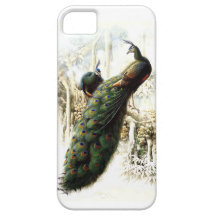 Resting Peacocks iPhone 5 Cases