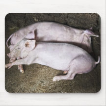Resting Pigs Mousepad
