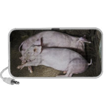 Resting Pigs Speaker