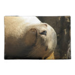 Resting Sea Lion Accessories Bag