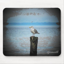Resting Seagull by djoneill Mouse Pad