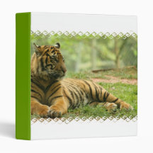 Resting Tiger  Binder