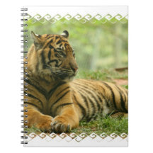 Resting Tiger  Notebook