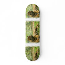 Resting Tiger  Skateboard