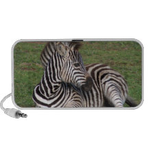 Resting Zebra Speakers