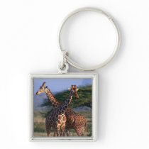 Reticulated Giraffe 2 Key Chains