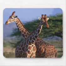 Reticulated Giraffe 2 Mouse Pad