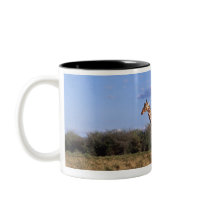 Reticulated Giraffe 2 Mugs