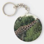 Reticulated giraffe key chain