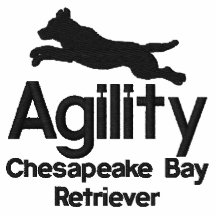 Retriever de la Baie de Chesapeake d'agilité