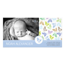 Retro Chicks Boy Birth Announcement Photo Card