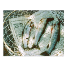 Retro Fishing Net and Trout Postcard