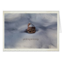 Retro Gnome Polaroid Cards