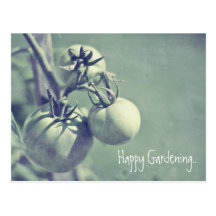 Retro Happy Gardenening Green Tomatoes Postcards