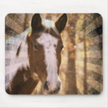 Retro Pinto Mouse Pads