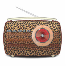Retro Radio Classic Acrylic Cut Outs