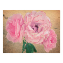Retro Roses 3 Photo Print