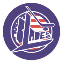 Retro USA Blades Hockey Stickers