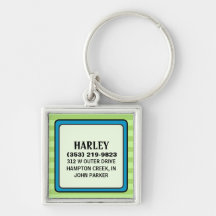 Rétro vert et bleu d'étiquette d'identification d' porte-clefs