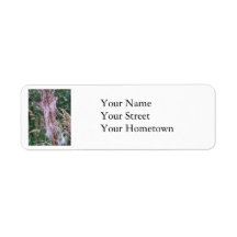 Return Address Label: Alaskan Wildflowers