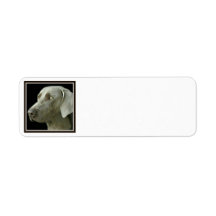 Return Address Labels - Weimaraner Head Study