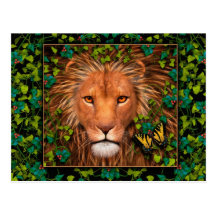 Return of the King Postcard