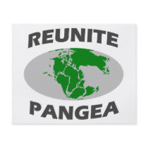 Reunite Pangea Flyer
