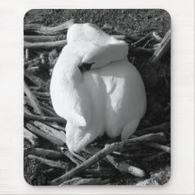 Rêve de cygne tapis de souris