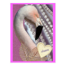 Rêve de flamant cartes postales