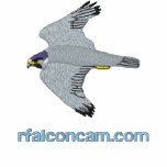 Rfalconcam Dark Embroidered Shirt embroidered shirts