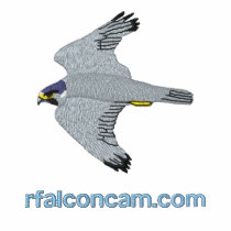Rfalconcam Ladies' Dark Embroidered Shirt