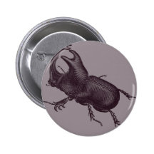 Rhino Beetle, Scarabeus Chorinaeus Button